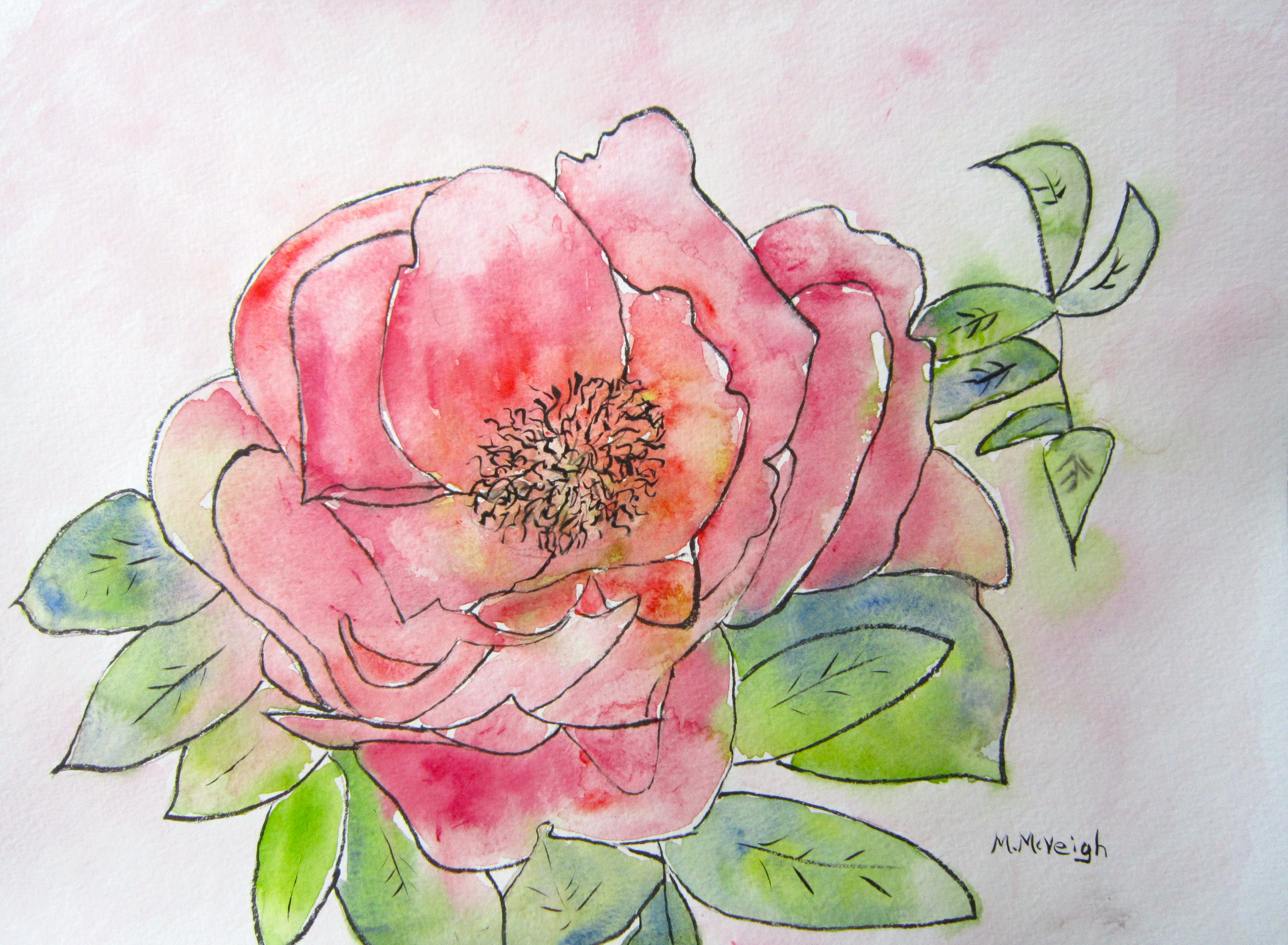 Peony