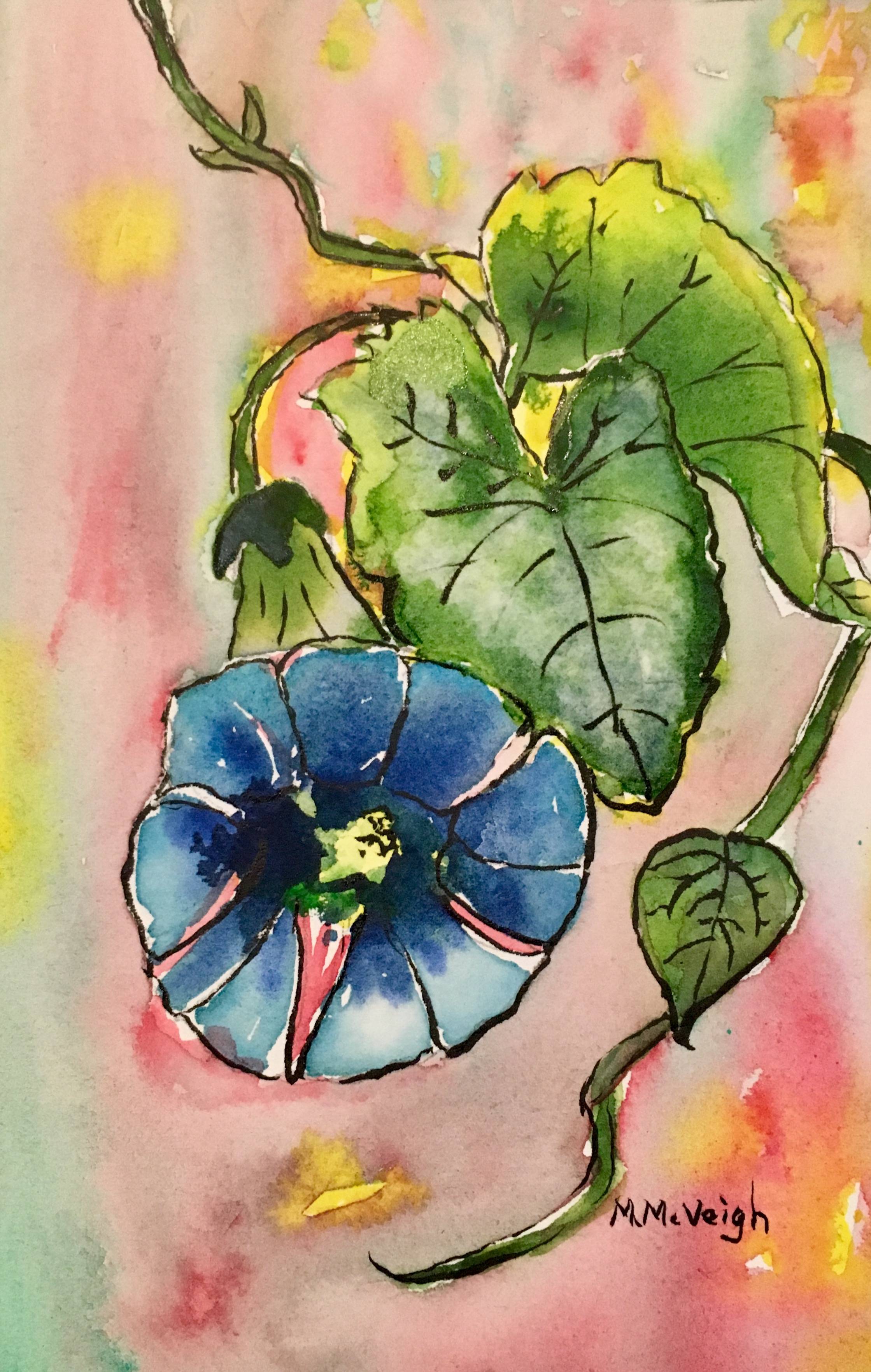 Morning Glory Watercolor