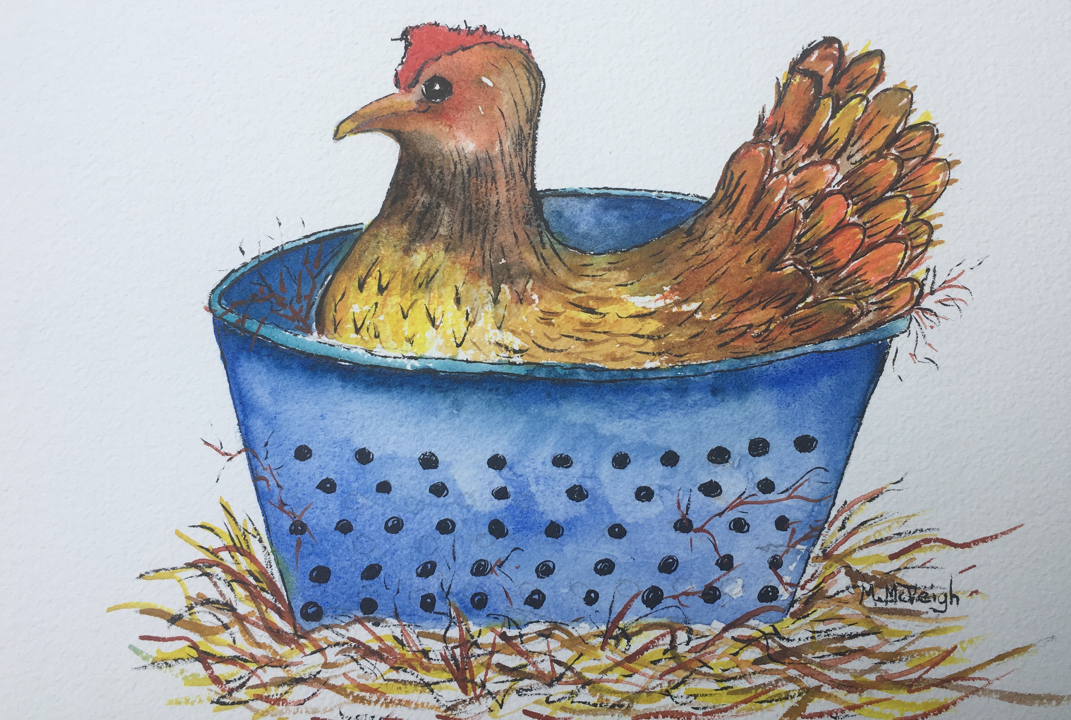 Chicken In Pot