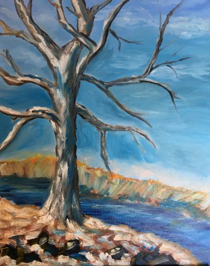 Trees