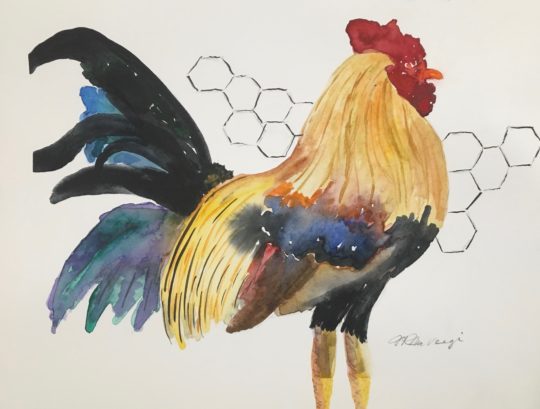 Birds