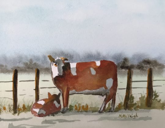 Animals