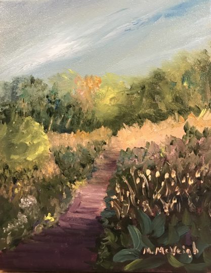 Philadelphia & NJ Area Scenes