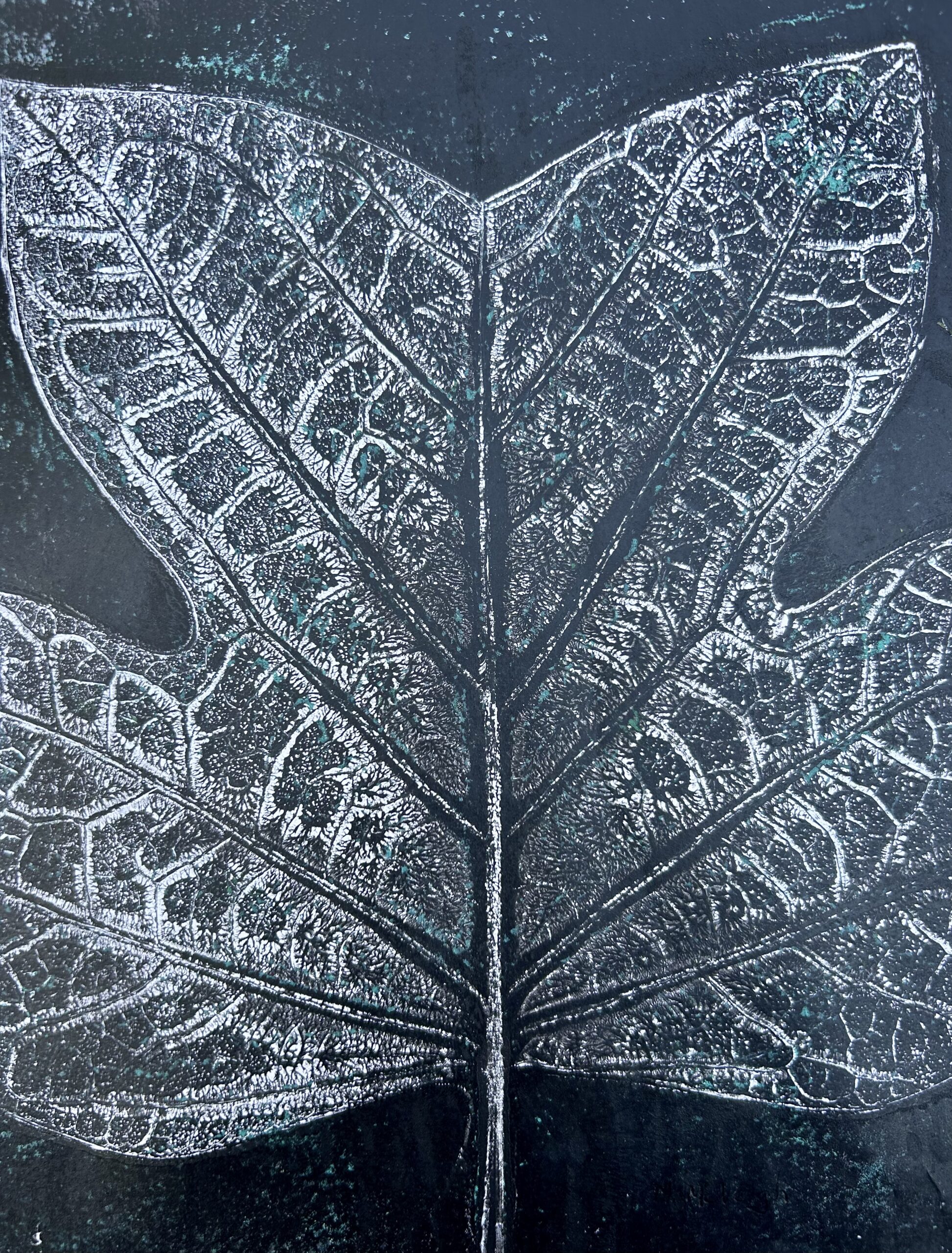Black and White Leaf Botanical Hand Pulled Print
