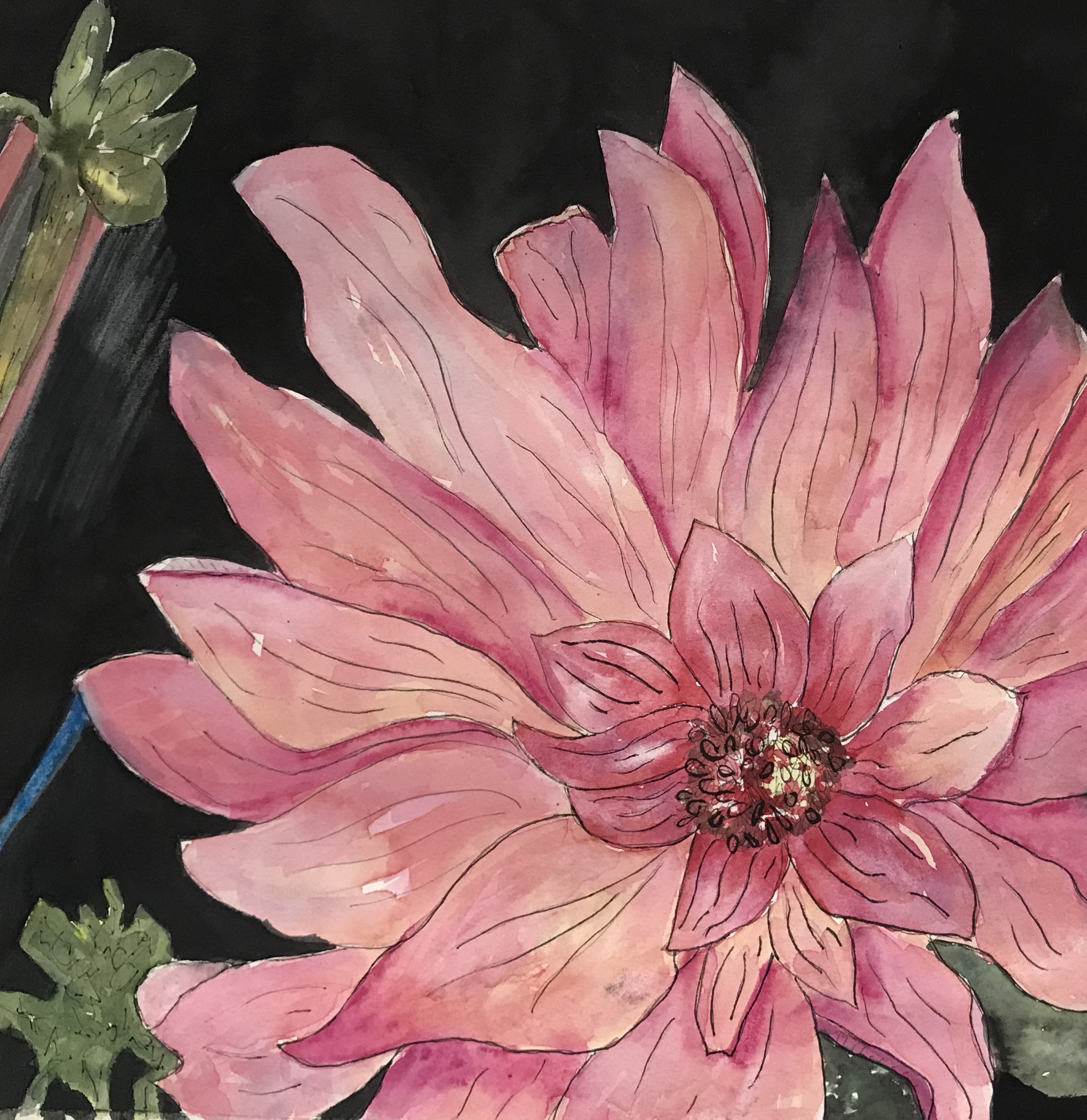 Pink Flower in Watercolor