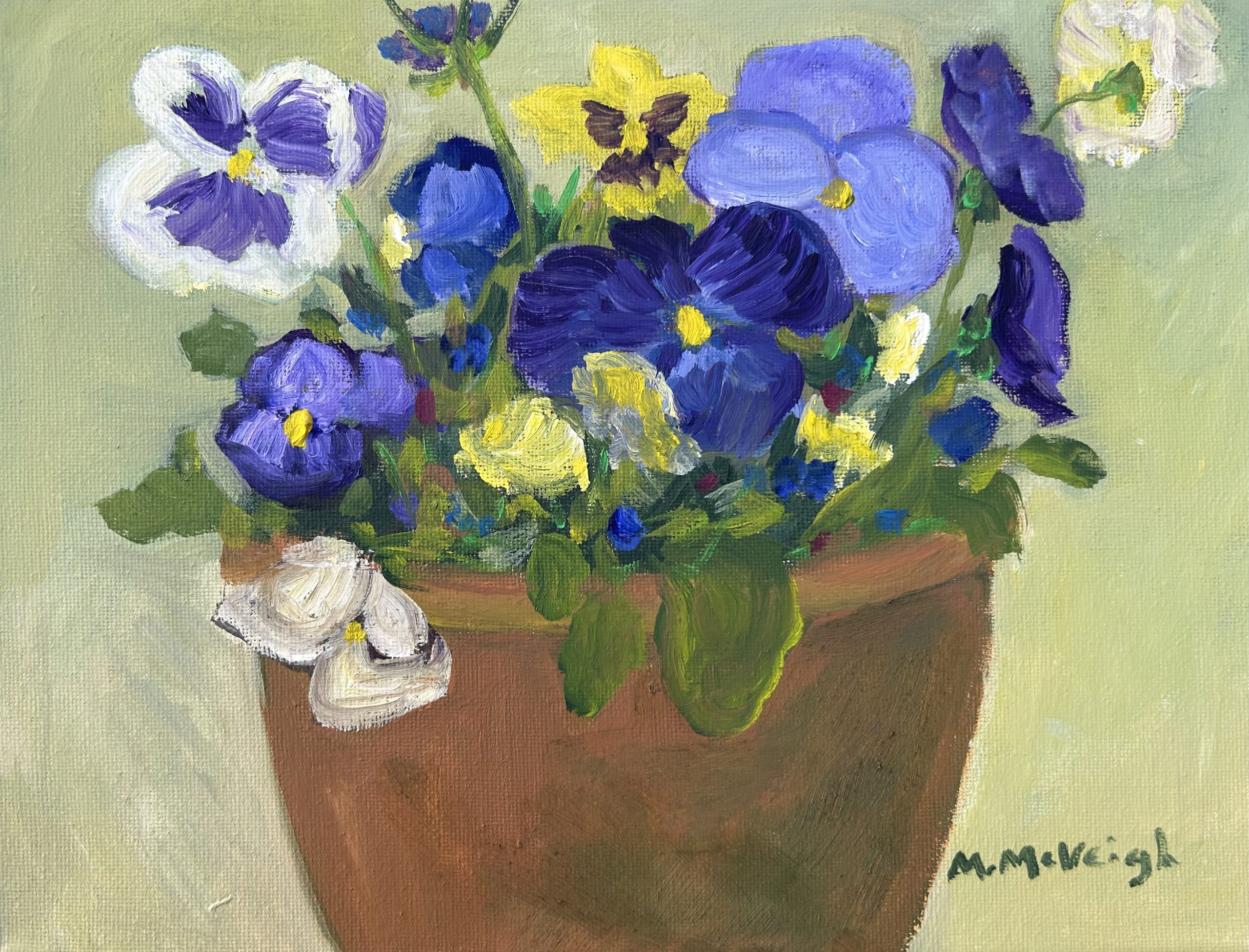 Spring Pansies